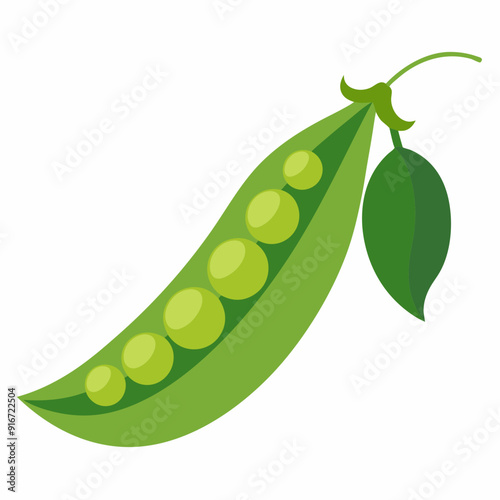 Peas art vector illustration