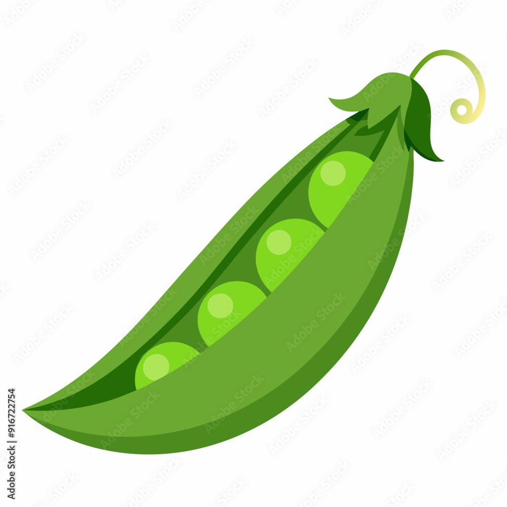 Peas art vector illustration Peas art vector illustration