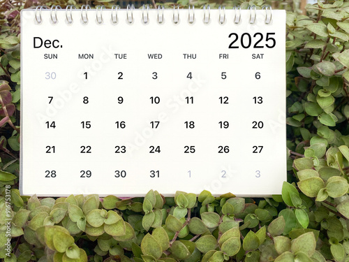 December 2025 monthly calendar with flower background. Stock photo.