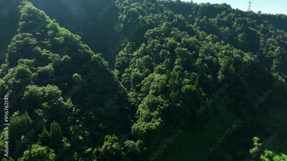 ドローン映像:夏の山奥の風景 ドローン映像:夏の山奥の風景