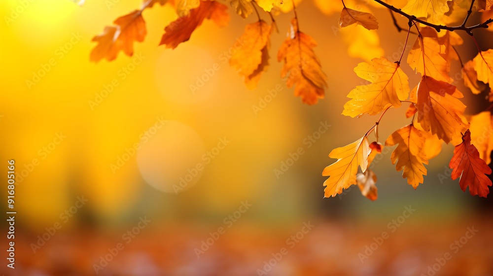 Maple leaves in autumn sunny day in foreground Autumn Blurred Background AI Generated Maple leaves in autumn sunny day in foreground Autumn Blurred Background AI Generated