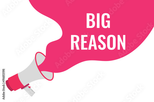 big reason button, banner, label, template for website. big reason text with colorful megaphone icon
