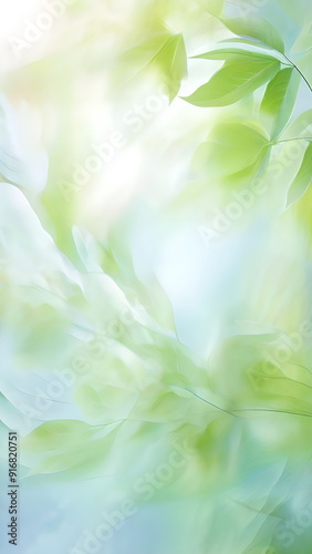 blue sky through green leaves in forest