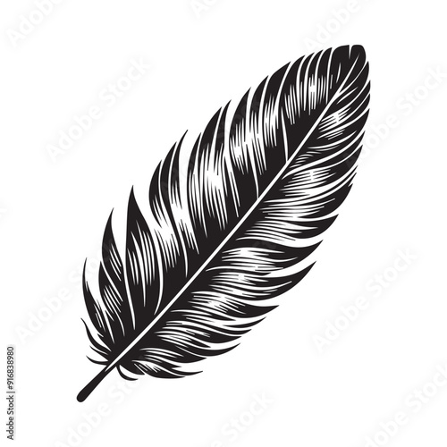 feather isolated on white background