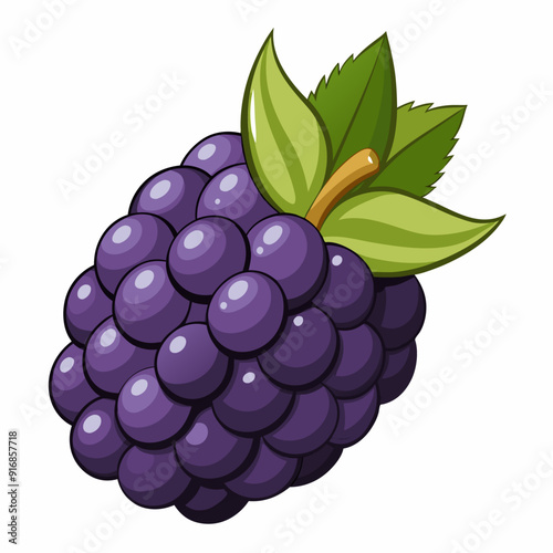 A Single Cartoon Blackberry with Green Leaves