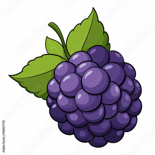 Single Ripe Blackberry with Green Leaves