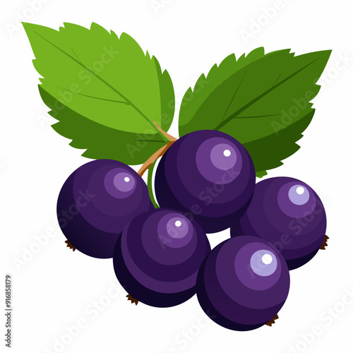 A Cluster of Black Currants with Green Leaves