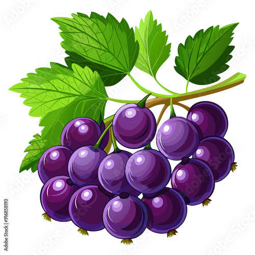 A Bunch of Ripe Black Currants with Green Leaves