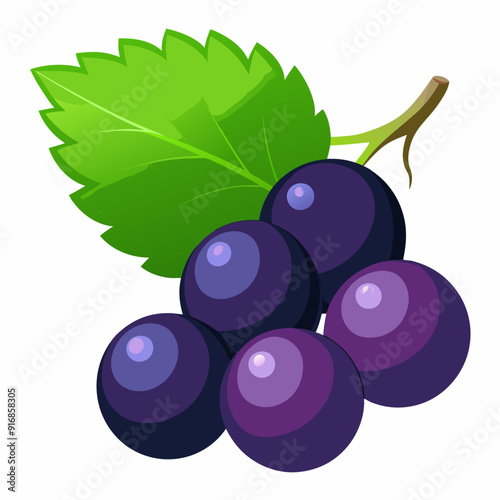 Blackcurrant Berries with a Green Leaf on a Branch