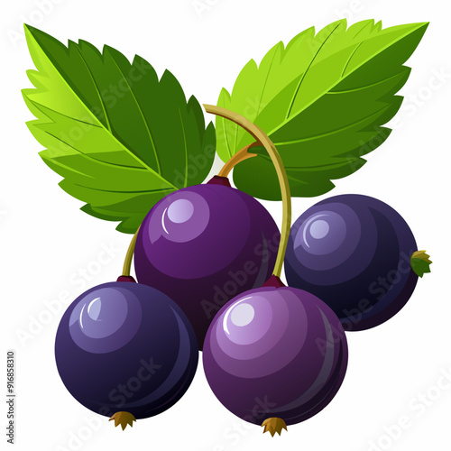 Black Currants with Green Leaves