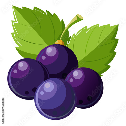 Illustration of a cluster of ripe blackcurrants with green leaves