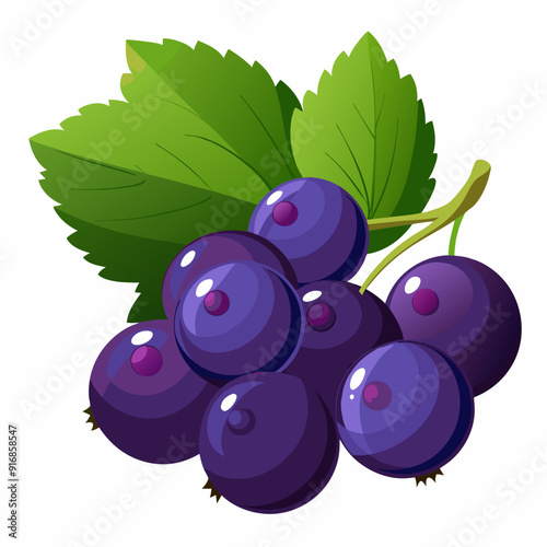 A Bunch of Ripe Black Currants with Green Leaves