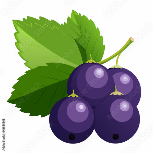 Blackcurrants with Green Leaves