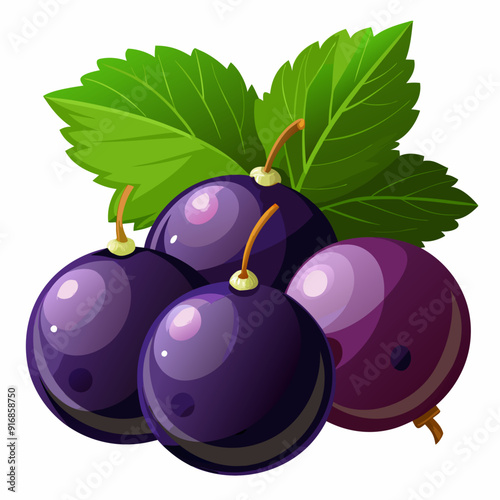 Black Currants with Green Leaves on White Background