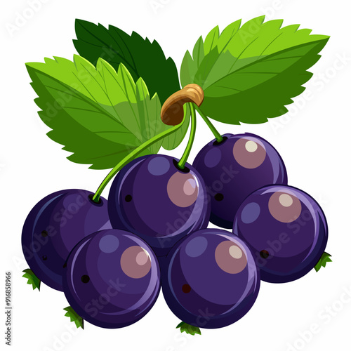 A cluster of ripe blackcurrants with green leaves