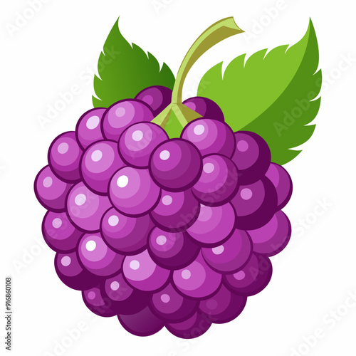Single Purple Blackberry with Green Leaves