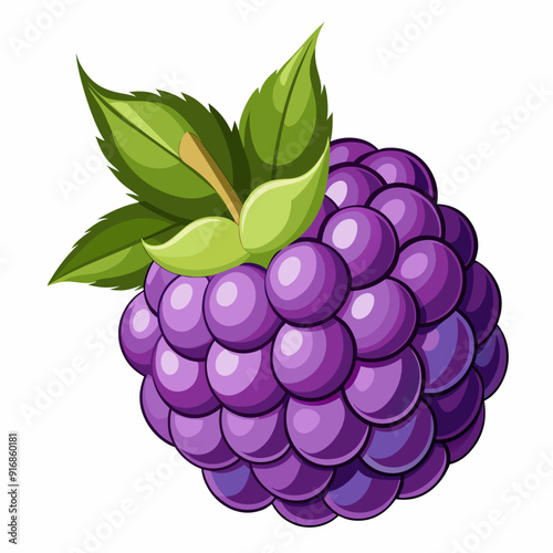 Single, Ripe, Purple Blackberry with Green Leaves