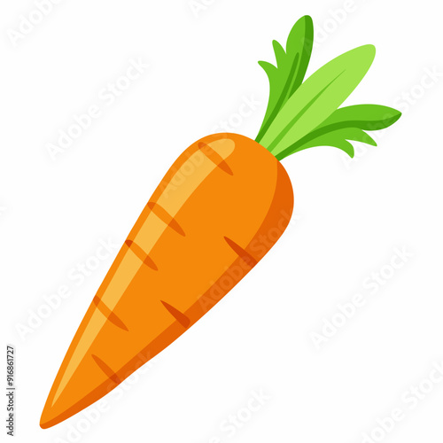 A Single Orange Carrot with Green Tops
