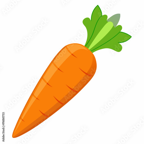 A Single Orange Carrot with Green Top