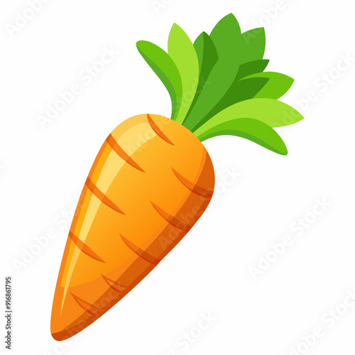Single Orange Carrot with Green Leaves