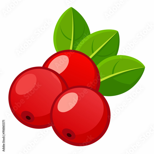 Three Red Cranberries with Green Leaves