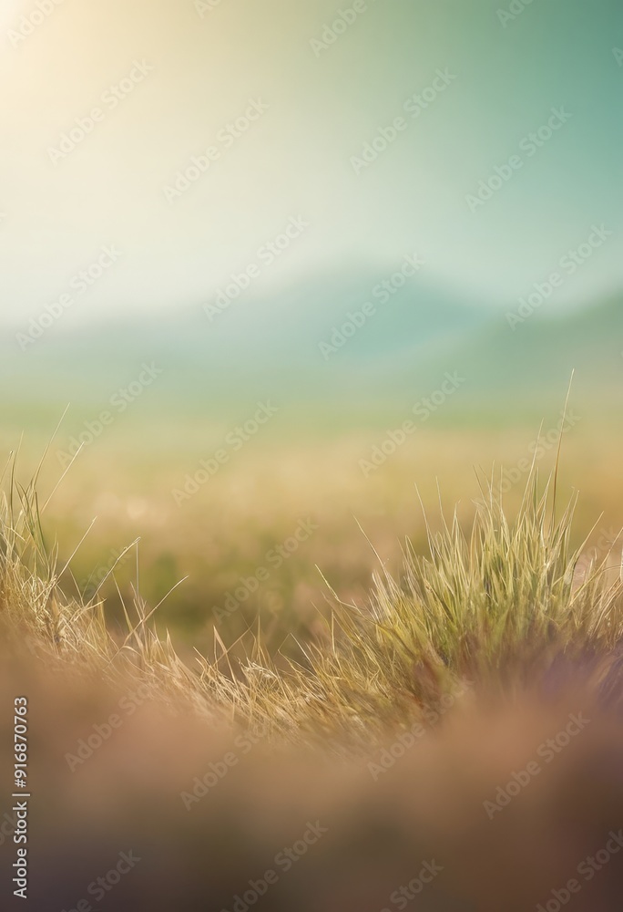 serene landscape with field tall grass and distant mountains bathed in soft sunlight, creating tranquil and serene landscape with field tall grass and distant mountains bathed in soft sunlight, creating tranquil and