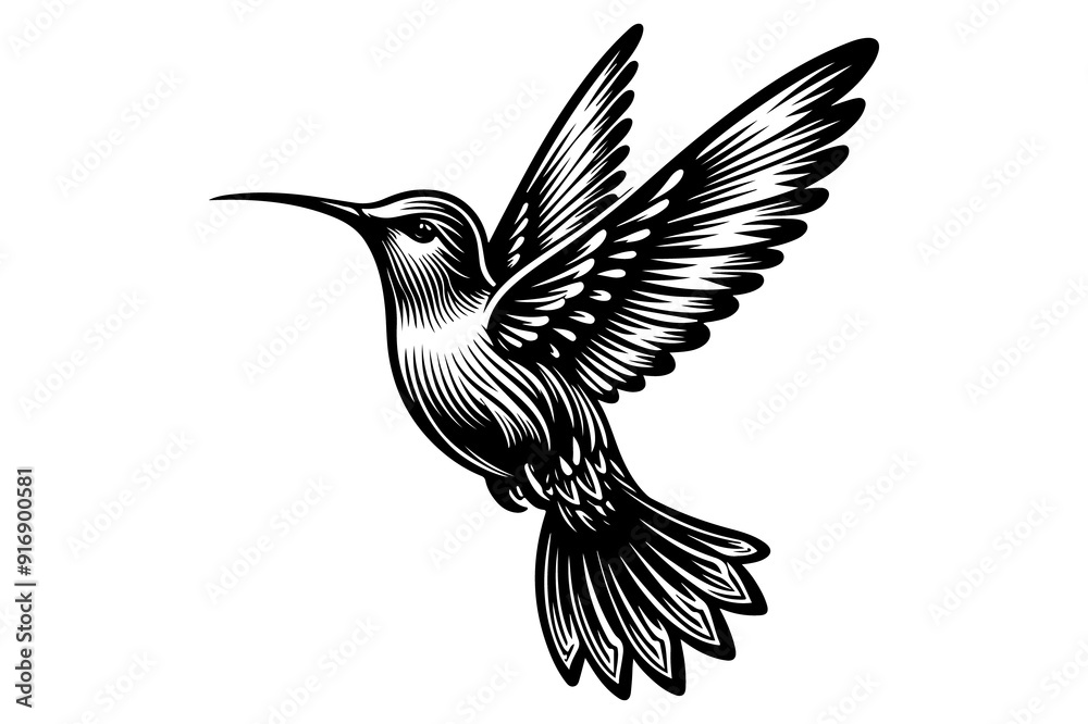 Fototapeta premium line art of a hummingbird set silhouette vector art illustration isolated on transparent background - Generative AI