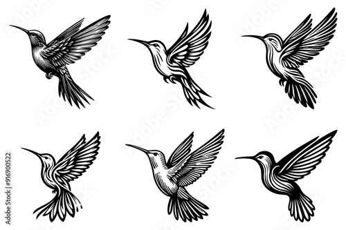 line art of a hummingbird set silhouette vector art illustration isolated on transparent background - Generative AI