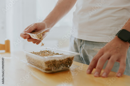 Photography A young man plants wheat seeds in a container.