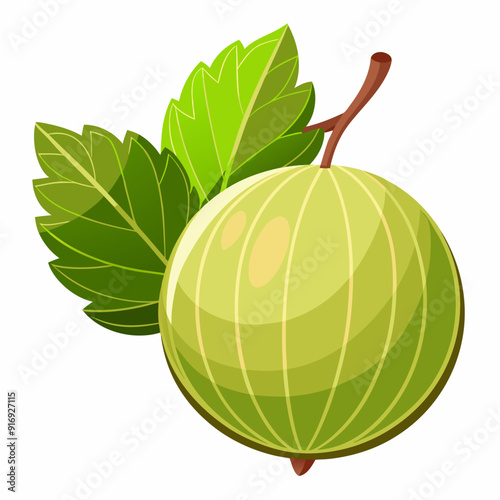 Green Gooseberry with Two Leaves