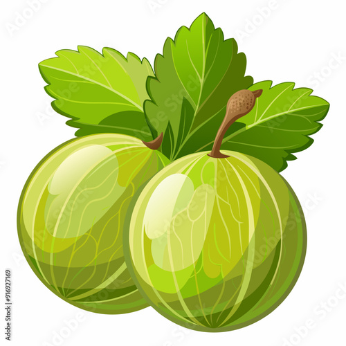Two Green Gooseberries with Green Leaves