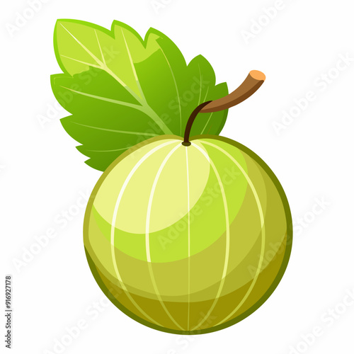 A Single Green Gooseberry with a Leaf