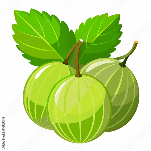 Three Green Gooseberries with Leaves