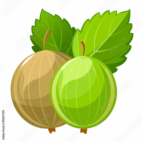Two Green Gooseberries with Leaves