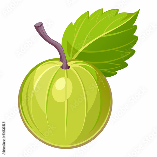A Single Green Gooseberry with a Leaf
