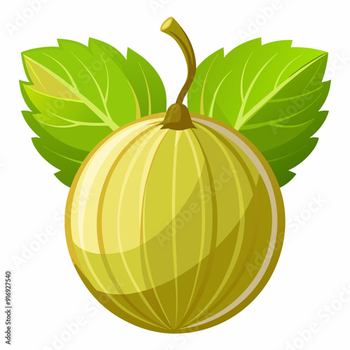 Single Green Gooseberry with Two Leaves
