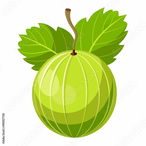 Green Gooseberry with Two Leaves