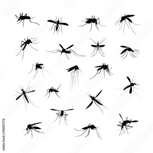 Mosquito silhouette set. Aedes aegypti icon. World mosquito day vector