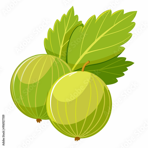Two Green Gooseberries with Leaves