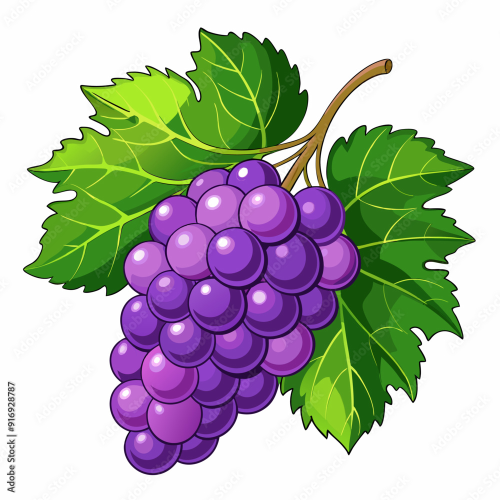 Cartoon Illustration of Purple Grapes with Green Vine Leaves Cartoon Illustration of Purple Grapes with Green Vine Leaves