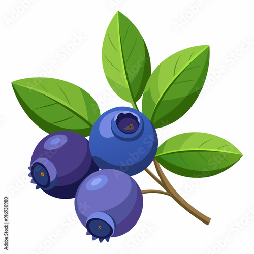 Three Blueberries on a Branch with Green Leaves