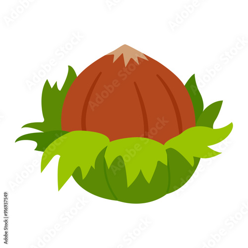 Hazelnut fresh, ripe and tasty, healthy treat, snacks. Hand drawn trendy flat style isolated Vector illustration