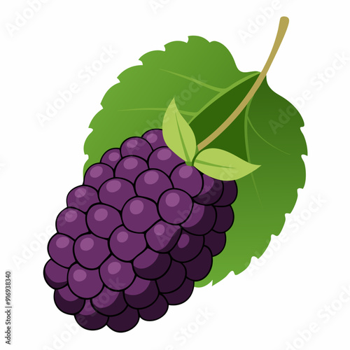 Single Black Blackberry with Green Leaf