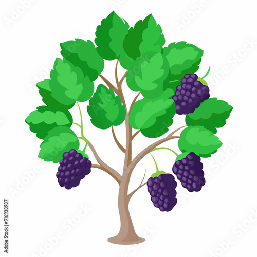 Cartoon Illustration of a Blackberry Bush with Ripe Fruit