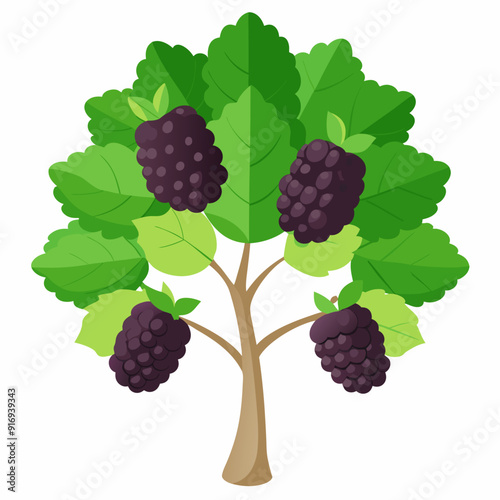 Blackberry Bush with Four Ripe Berries and Lush Green Leaves