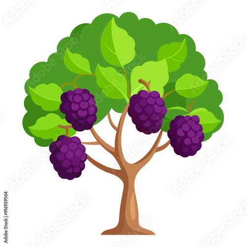 Blackberry Bush with Purple Berries and Green Leaves