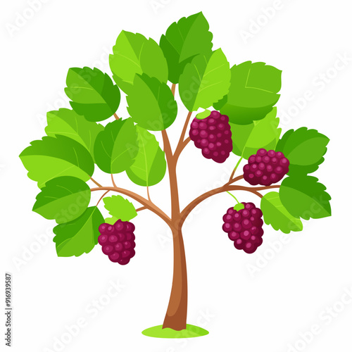 Cartoon Illustration of a Blackberry Bush with Three Ripe Berries
