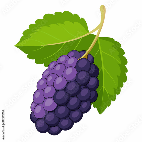 A cluster of ripe blackberries with green leaves on a vine