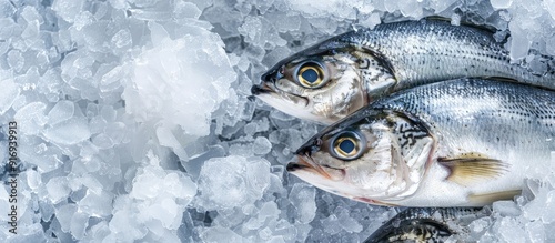 Various fresh fish, such as Asian seabass, kept on ice with copy space image, are available at fish markets or supermarkets; their scientific name is Lates calcarifer. photo