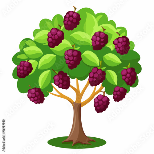 A Blackberry Bush with Ripe Berries and Green Leaves
